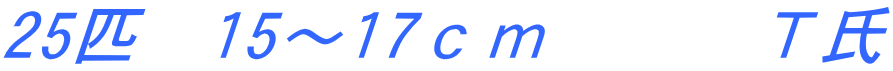 25匹　15～17ｃｍ　　　Ｔ氏