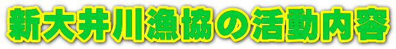 新大井川漁協の活動内容 